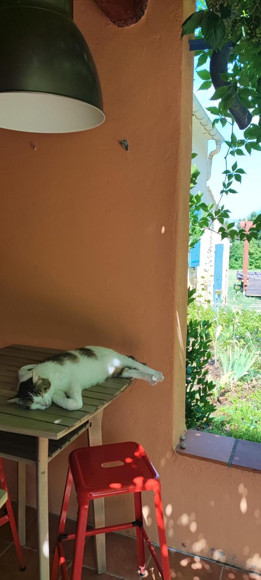 B&B Auberge Verdon La Palud-sur-Verdon Buitenkant foto